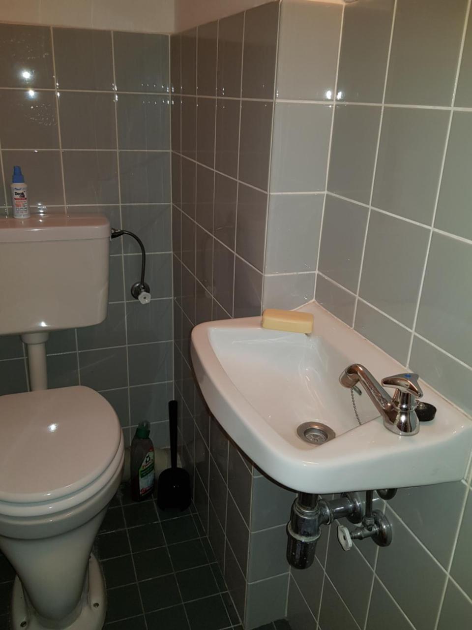 Apartment Mit Blick Auf Das Eversten Holz 42Qm Олденбург Екстериор снимка